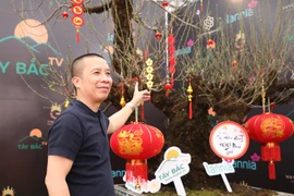 Đào rừng Lai Châu 100 năm tuổi về Hà Nội giá hơn 368 triệu 