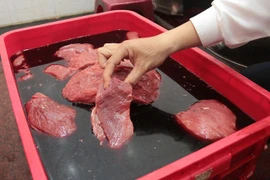 Công ty CP Megatech dùng phụ gia không rõ nguồn gốc cho thực phẩm