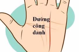 Dự đoán sự nghiệp, tiền tài qua đường công danh trong lòng bàn tay