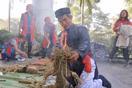 Trải nghiệm Tết vùng Kinh Bắc tại Bảo tàng Dân tộc học Việt Nam