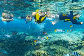 Sắp có khu bảo tồn biển Cô Tô, Đảo Trần 