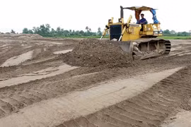 KS Tống Văn Nga: Cân nhắc việc hút cát biển làm cao tốc