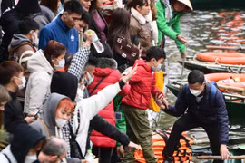 Bác tin bến thuyền Tràng An ùn tắc, du khách mắc kẹt đến khuya