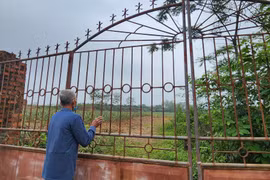 Hà Nội: Dự án trồng cây dược liệu, du lịch sinh thái gây lãng phí đất?