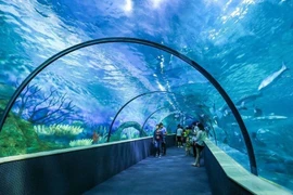 Chơi gì ở Hà Nội những ngày nghỉ lễ 2/9?