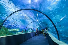 Chơi gì ở Hà Nội những ngày nghỉ lễ 2/9?