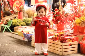 Phố Hàng Mã rực sắc đỏ đón năm mới