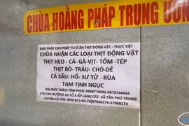 Sự thật về “ngôi chùa nhận thịt sống chó, hổ, sư tử…” ở Sài Gòn