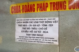 Sự thật về “ngôi chùa nhận thịt sống chó, hổ, sư tử…” ở Sài Gòn