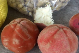 Loại quả “lai” giữa đào và hồng khiến dân mạng sửng sốt