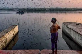 Ấn tượng ảnh đời thường trên khắp thế giới