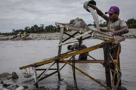 Nghề khai thác vàng lậu ở Indonesia qua ảnh