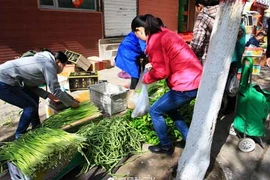 Ngỡ ngàng các chợ cóc ở Trung Quốc 