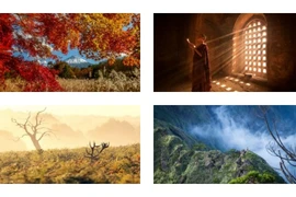 Ngắm loạt ảnh du lịch ấn tượng đăng trên Telegraph