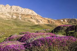 Khung cảnh đẹp như tranh vẽ ở đất bắc Iran