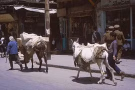 15 ảnh hiếm về cuộc sống yên bình ở Damascus năm 1965