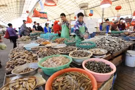 Ghé thăm chợ hải sản nổi tiếng ở Thanh Đảo 