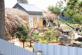 3 chủ tịch xã ở Hà Nội bị tạm dừng điều hành công tác chung