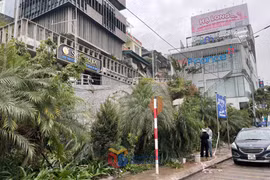 Máy xúc bị tụt dốc, tài xế tử vong ở Quảng Ninh