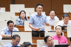 Nhà giáo là ngành đặc thù, thực hành sư phạm rất quan trọng