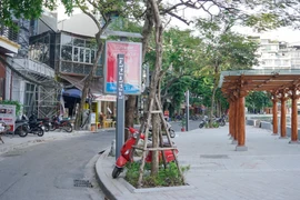 Phố đi bộ hồ Ngọc Khánh thưa thớt, đầu tư xây dựng phù hợp?