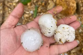 Mưa đá to bằng quả trứng gà rơi dày đặc ở Hà Giang