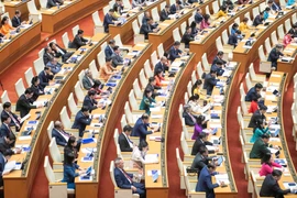 Vì sao một số kiến nghị của cử tri còn chậm được giải quyết?