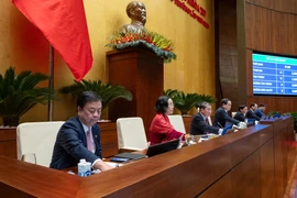 Áp dụng “chìa khóa trao tay” cho dự án điện hạt nhân Ninh Thuận