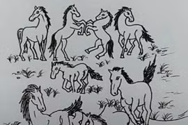 Trắc nghiệm tâm lý: Bạn có thể tìm thấy người đẹp trong 10 giây? 