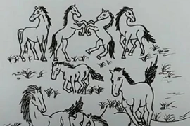 Trắc nghiệm tâm lý: Bạn có thể tìm thấy người đẹp trong 10 giây? 