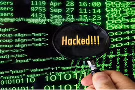 Doanh nghiệp Việt chưa chú trọng đến việc bảo vệ website