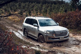 Xem Toyota Land Cruiser 2022 "trổ tài" off-road cực ấn tượng