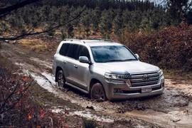 Xem Toyota Land Cruiser 2022 "trổ tài" off-road cực ấn tượng