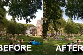 Bí kíp chụp ảnh đẹp của iPhone 11 không nằm ở máy ảnh