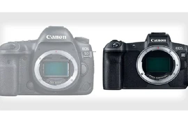 Máy ảnh DSLR hiện vẫn chưa chết, nhưng đang hấp hối
