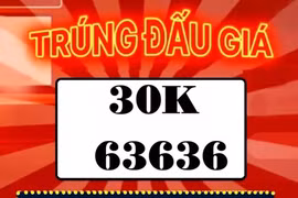 Bỏ ra hơn nửa tỷ đồng mua biển số ôtô 30K-636.36 