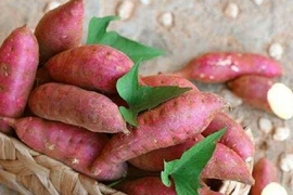 3 loại thực phẩm có tính kiềm là 'kẻ thù của ung thư'