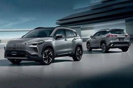 Thị trường Đông Nam Á - ôtô Nhật Bản dẫn đầu, VinFast bứt phá 