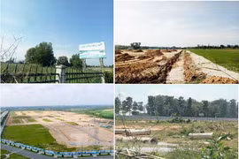 Màn ảo thuật biến 188ha đất công thành đất tư khiến loạt lãnh đạo Bình Dương bị xử lý