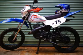 Cào cào lạ siêu rẻ của dân chơi Bình Phước