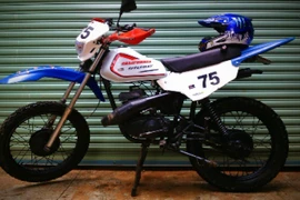 Cào cào lạ siêu rẻ của dân chơi Bình Phước