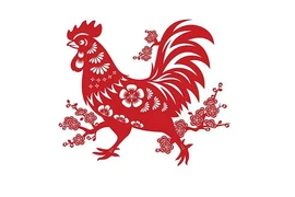 Tử vi tuổi Dậu 2023 chi tiết từng năm sinh