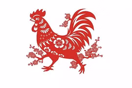 Tử vi tuổi Dậu 2023 chi tiết từng năm sinh