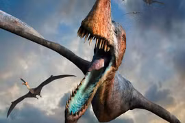 Tìm thấy 215 trứng khủng long bay còn nguyên vẹn hoàn hảo