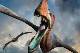 Tìm thấy 215 trứng khủng long bay còn nguyên vẹn hoàn hảo