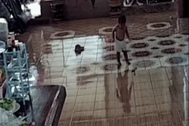 Bé trai 1 tuổi suýt giẫm phải rắn hổ mang trong phòng khách