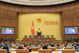 Hôm nay bầu tân Chủ tịch Quốc hội, Chủ tịch Hội đồng Bầu cử Quốc gia