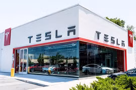 Lý do xe Tesla hút chuột, khách hàng thiệt hại cả trăm triệu đồng?