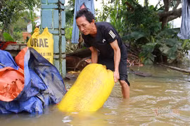 Người dân Quảng Nam thẫn thờ vì hàng tạ thóc ngâm trong nước lũ