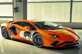 Lamborghini nhờ thanh niên 19 tuổi vẽ lên siêu xe Aventador S 